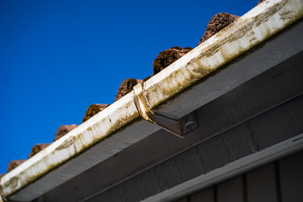 Clogged gutters full of leaves needing cleaning in Nashville