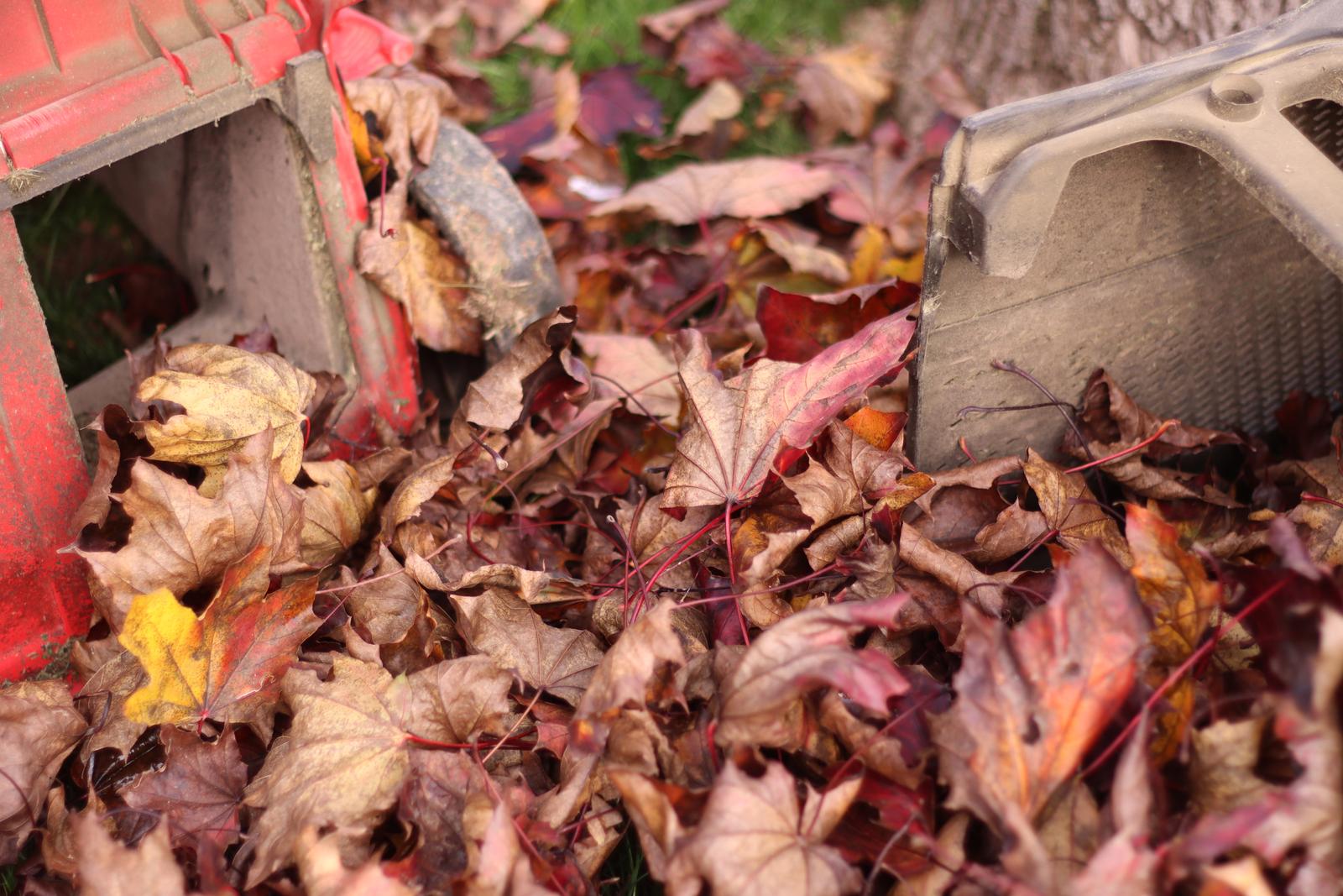 Autumn leaves raked into a pile beside a Nashville home