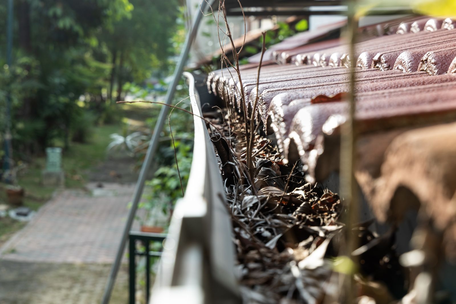 Close-up of a gutter blocked with dry leaves and twigs