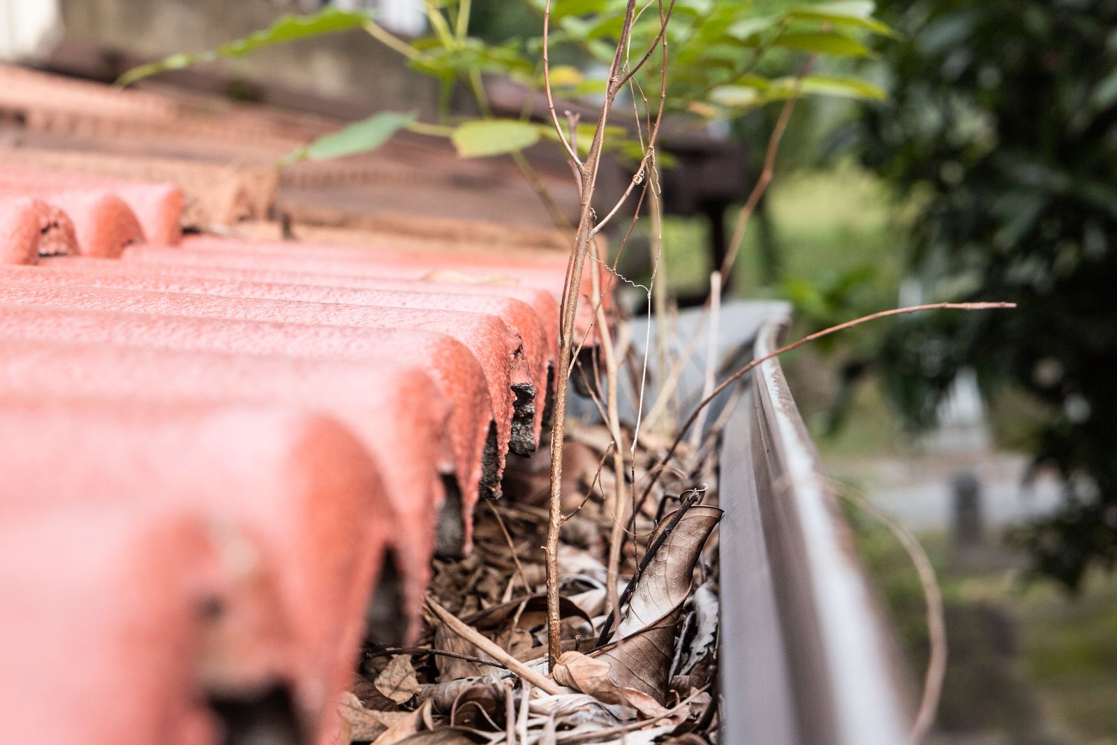 Packed debris sitting in a residential rain gutter